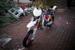 crfpieni-9326
