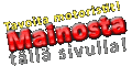 Mainosta