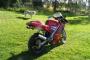 Derbi GPR 50 1