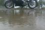 Aprilia AF-1 125 4