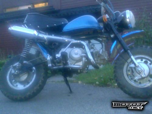 Jincheng Monkey 50