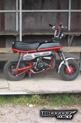 Suzuki PV 50