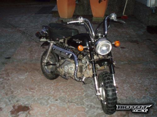 Jincheng Monkey 50