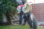 Beta RR 50 0