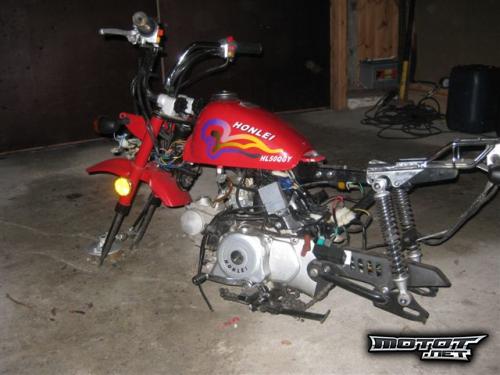 Honlei Monkey 50