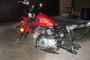 Honlei Monkey 50 1