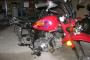 Honlei Monkey 50 3