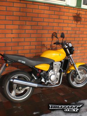 MZ RT 125