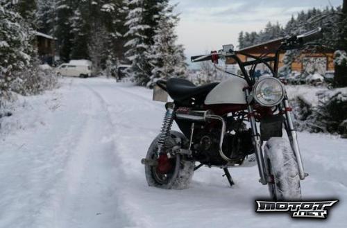 Honda Z50