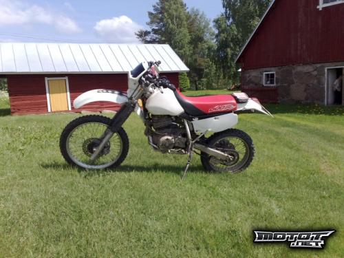 Honda XR 600