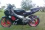 Aprilia RS 125 1