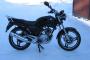 Yamaha YBR 125 1
