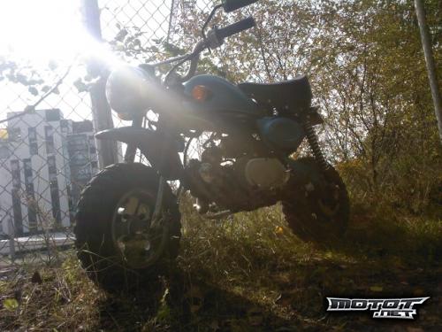 Jincheng Monkey 50