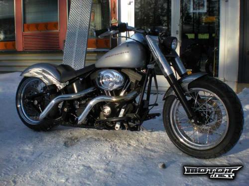 Harley Davidson Softail Custom