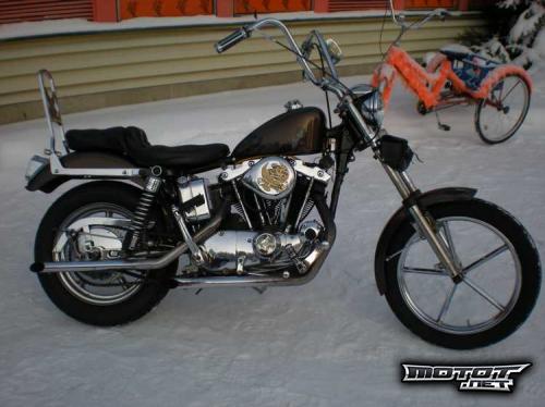 Harley Davidson Sportster 1200 Custom