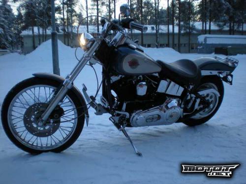 Harley Davidson Softail Custom