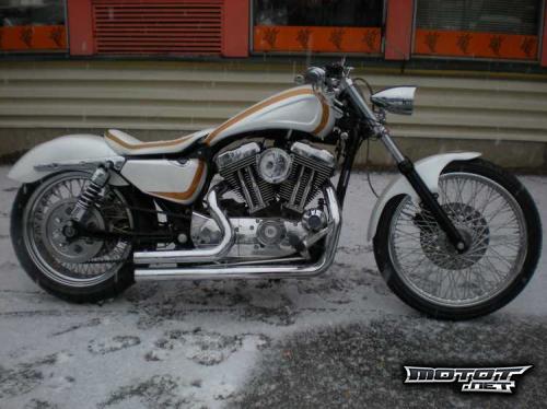Harley Davidson Sportster 1200 Custom