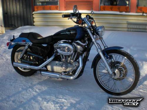 Harley Davidson Sportster 883 Custom