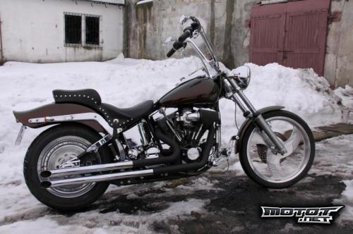 Harley Davidson Softail Custom