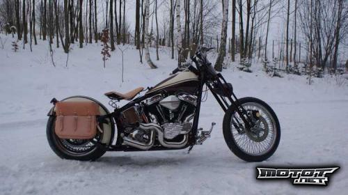 Harley Davidson Softail Custom