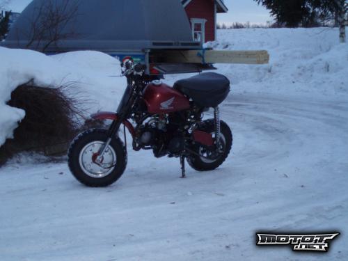 Honda Z50
