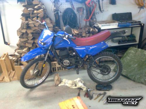 Suzuki S1 50