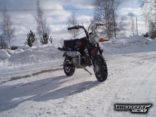 Jincheng Monkey 50