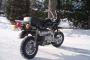 Jincheng Monkey 50 1