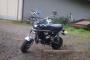 Suzuki PV 50