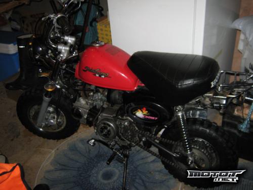 Jincheng Monkey 50