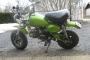 Jincheng Monkey 50 1