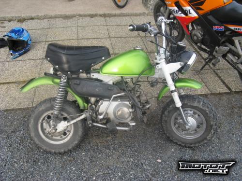 Jincheng Monkey 50