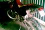 Aprilia RX 50 3