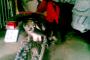 Aprilia RX 50 4