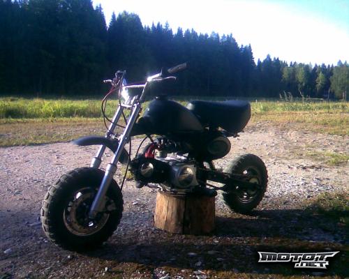 Jincheng Monkey 50