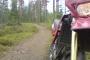 Rieju RR 50 1