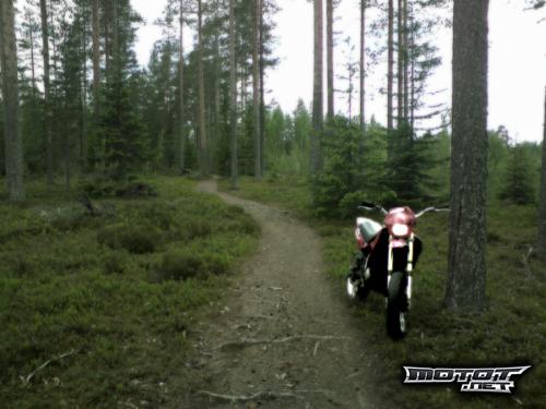 Rieju RR 50