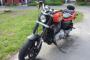 Harley Davidson Sportster XR 1200 1