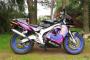 Suzuki RGF 125 1