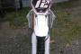 Yamaha YZ 250F 1