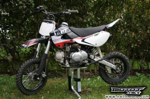 Motovert Expert