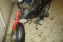 Honda PX  50 2