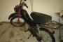 Honda PX  50 1