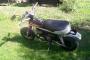 Suzuki PV 50 0