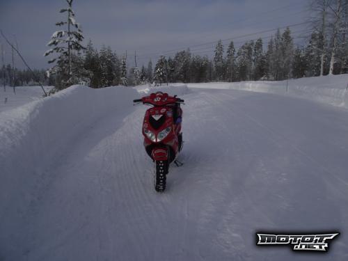 Peugeot Speedfight 2 50