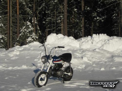 Honda Z50