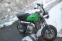 Jincheng Monkey 50 2