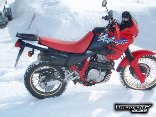 Honda NX 250