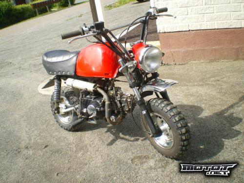 Skyteam Gorilla (50)