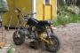 Jincheng Monkey 50 1